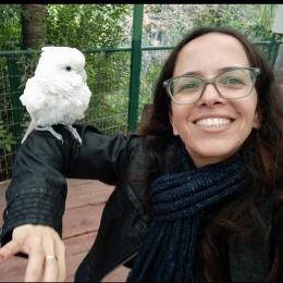 תמונת המשתמש