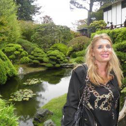 תמונת המשתמש