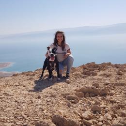 תמונת המשתמש