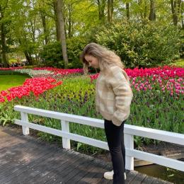 תמונת המשתמש