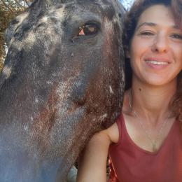 תמונת המשתמש