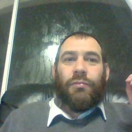 תמונת המשתמש