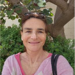 תמונת המשתמש