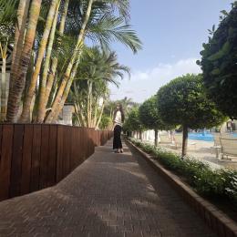 תמונת המשתמש