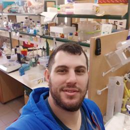 תמונת המשתמש