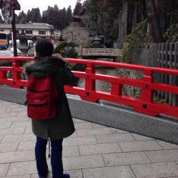 תמונת המשתמש