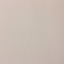 תמונת המשתמש