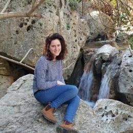 תמונת המשתמש