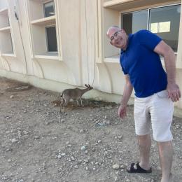 תמונת המשתמש