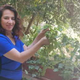 תמונת המשתמש